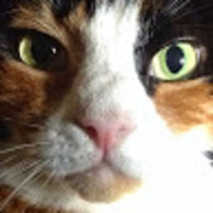 Meet your Posher, Cheri